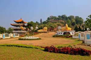 2014 Tea School and the Ancient Tea Tree Forests of Thailand