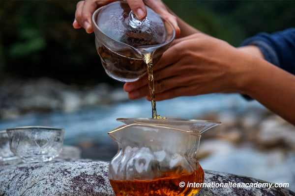 How to Find Happiness From Tea? - International Tea Academy Official Web