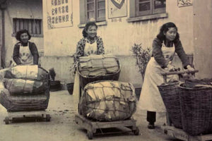 How Modern Fermented (Ripe) Puer Tea Began