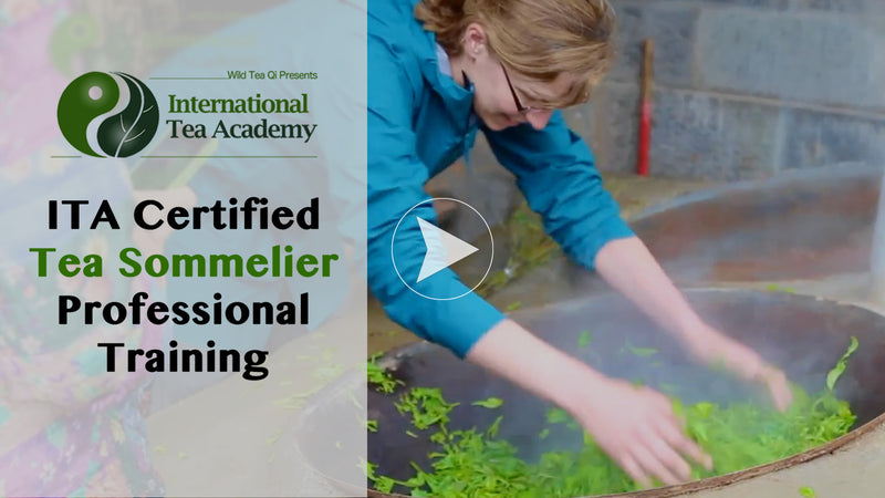 Norma Tea Class We making transformative tea education accessible for everybody